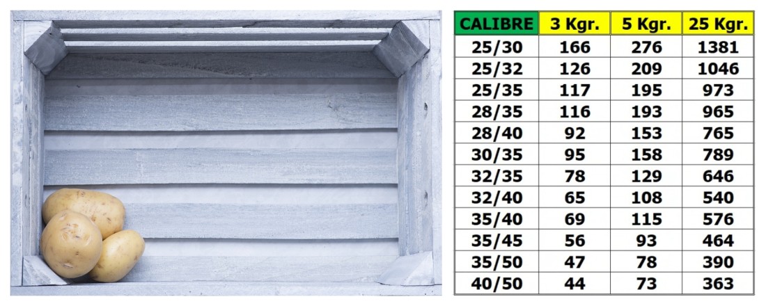 ¿Cuántas plantas puedes obtener según el calibre de la patata de siembra?