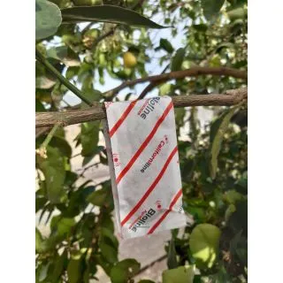 Compra CALIFORNILINE (100 Sobres Gemini 25.000 Ind.). en la tienda online Fito Agrícola