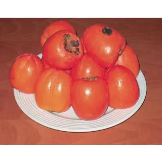 Compra KAKI ROJO BRILLANTE en la tienda online Fito Agrícola