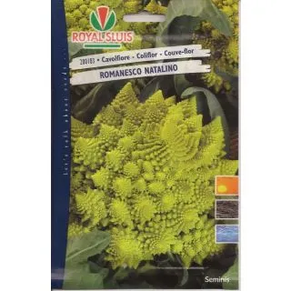 Compra ROMANESCO NATALINO (4 gr. - Cerca de 1500 Semillas). en la tienda online Fito Agrícola