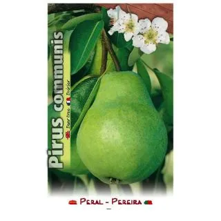 Compra PERAL TENDRAL VALENCIANA en la tienda online Fito Agrícola
