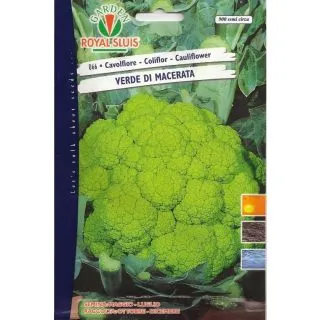 Compra COLIFLOR VERDE DE MACERATA (6 gr.). en la tienda online Fito Agrícola