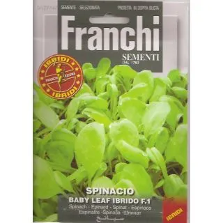 Compra ESPINACA EMILIA F1 BABY LEAF (10 gr.). en la tienda online Fito Agrícola