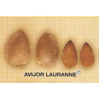 Compra ALMENDRO AVIJOR en la tienda online Fito Agrícola