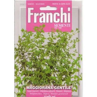 Compra MEJORANA (1 gr. - Cerca de 4.500 Semillas). en la tienda online Fito Agrícola