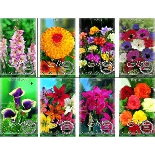 Compra BULBOS DE FLORES GRATIS (1 ó 3 Unidades) en la tienda online Fito Agrícola