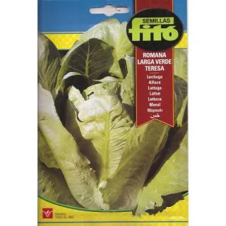 Compra LECHUGA ROMANA LARGA VERDE TERESA (8 gr.). en la tienda online Fito Agrícola