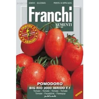 Compra TOMATE BIG RIO 2000 F1 (Cerca de 50 Semillas). en la tienda online Fito Agrícola