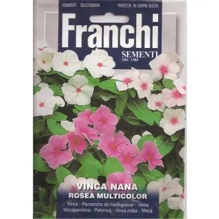Compra VINCA ENANA VARIADA (0,5 gr.). en la tienda online Fito Agrícola