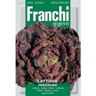 Compra LECHUGA PESCITIANA BESSON ROUGE (6 gr.). en la tienda online Fito Agrícola