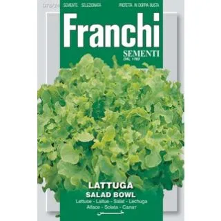 Compra LECHUGA SALAD BOLW (7 gr.). en la tienda online Fito Agrícola