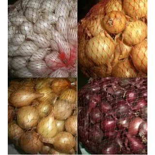 Compra CEBOLLITAS DE SIEMBRA GRATIS (Cerca de 1 Kgr.) en la tienda online Fito Agrícola