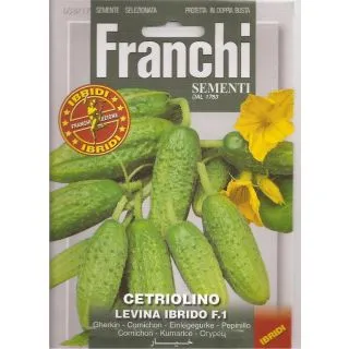 Compra PEPINILLO LEVINA F1 (2 gr.) en la tienda online Fito Agrícola