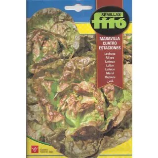 Compra LECHUGA MARAVILLA CUATRO ESTACIONES (8 gr.). en la tienda online Fito Agrícola