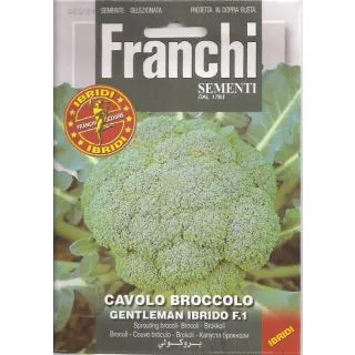 Compra BRÓCOLI GENTLEMAN / GREENBOW F1 (0,25 gr.). en la tienda online Fito Agrícola