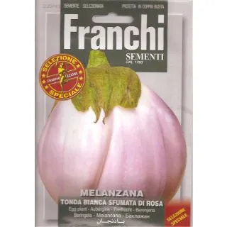 Compra BERENJENA REDONDA BLANCA SFUMATA DE ROSA (3 gr.). en la tienda online Fito Agrícola