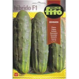 Compra PEPINO GRANADA F1 (40 Semillas). en la tienda online Fito Agrícola