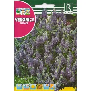 Compra VERONICA SPICATA (1 gr.). en la tienda online Fito Agrícola