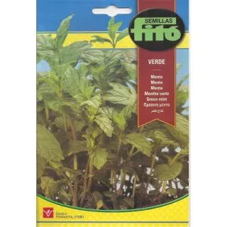 Compra MENTA VERDE (0,2 gr. - Cerca de 2.400 Semillas) en la tienda online Fito Agrícola