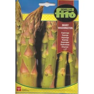 Compra ESPÁRRAGO MARY WASHINGTON (8 gr.) en la tienda online Fito Agrícola