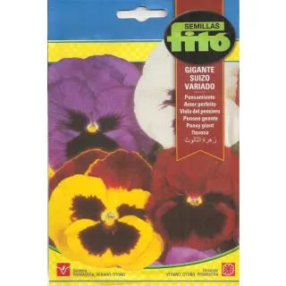 Compra PENSAMIENTO GIGANTE SUIZO VARIADO (0,6 gr.). en la tienda online Fito Agrícola