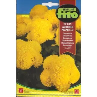 Compra CRISANTEMO DE LOS JARDINES AMARILLO (2 gr.). en la tienda online Fito Agrícola