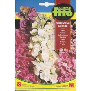 Compra ALHELÍ CUARENTENO VARIADO (0,8 gr.) en la tienda online Fito Agrícola