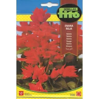 Compra SALVIA ENANA ROJA (0,7 gr.). en la tienda online Fito Agrícola