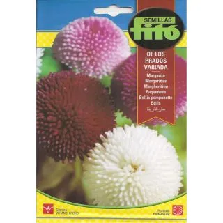 Compra MARGARITA DE LOS PRADOS VARIADA (0,43 gr.). en la tienda online Fito Agrícola