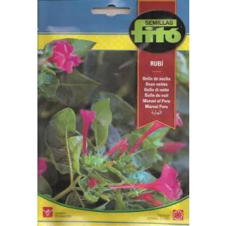 Compra BELLA DE NOCHE MULTICOLOR (8 gr.). en la tienda online Fito Agrícola