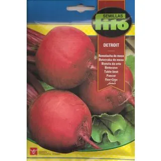 Compra REMOLACHA DETROIT 2 (13 gr.). en la tienda online Fito Agrícola