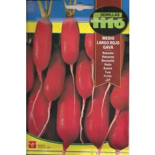Compra RABANITO DATIL ROJO GAVA (20 gr.). en la tienda online Fito Agrícola