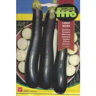 Compra BERENJENA LARGA NEGRA (5 gr.). en la tienda online Fito Agrícola