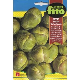 Compra COL DE BRUSELAS MEDIO ENANA DE LA HALLE (8 gr.). en la tienda online Fito Agrícola