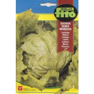 Compra LECHUGA BATAVIA RUBIA MUNGUIA (7 gr.). en la tienda online Fito Agrícola