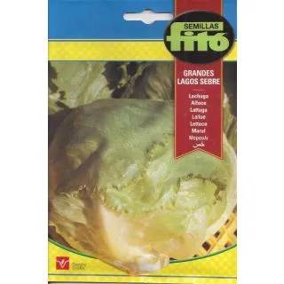 Compra LECHUGA GRANDES LAGOS SEGRE (6 gr.). en la tienda online Fito Agrícola
