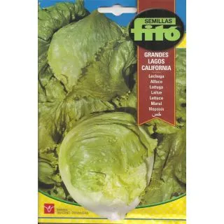 Compra LECHUGA GRANDES LAGOS CALIFORNIA (6 gr.). en la tienda online Fito Agrícola