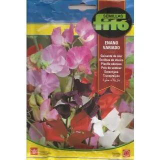 Compra GUISANTE DE OLOR ENANO VARIADO (8 gr.) en la tienda online Fito Agrícola