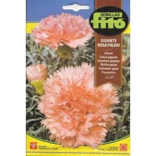 Compra CLAVEL GIGANTE ROSA PALIDO (0,8 gr.). en la tienda online Fito Agrícola