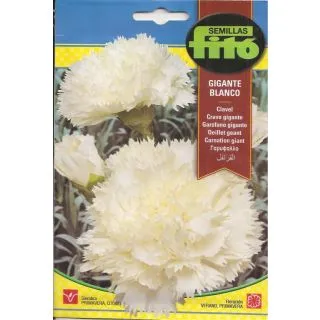 Compra CLAVEL GIGANTE BLANCO (0,8 gr.). en la tienda online Fito Agrícola