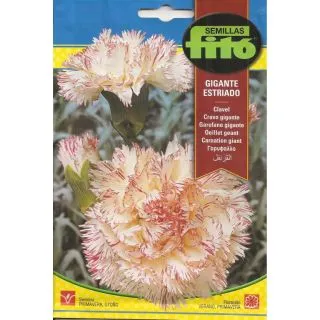 Compra CLAVEL GIGANTE ESTRIADO (0,8 gr.). en la tienda online Fito Agrícola