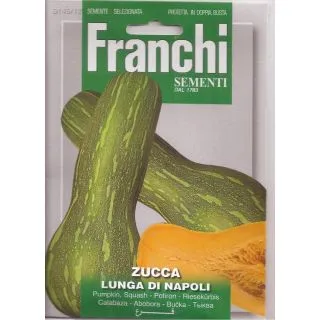 Compra CALABAZA LARGA NAPOLITANA (4 gr.) en la tienda online Fito Agrícola