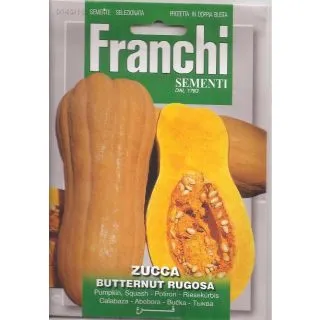 Compra CALABAZA BUTTERNUT RUGOSA (5 gr.). en la tienda online Fito Agrícola