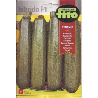 Compra CALABACÍN DYNAMIC F1 (40 Semillas) en la tienda online Fito Agrícola