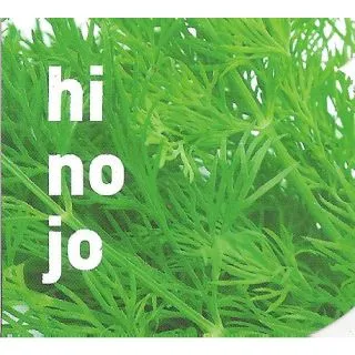 Compra HINOJO M11 en la tienda online Fito Agrícola