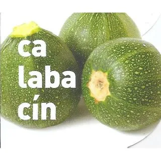Compra CALABACÍN REDONDO MS6 en la tienda online Fito Agrícola