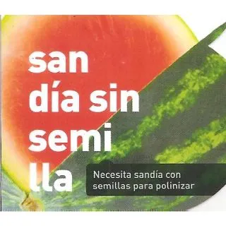 Compra SANDÍA RAYADA SIN SEMILLAS (Injertada) MS4 en la tienda online Fito Agrícola