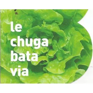 Compra LECHUGA BATAVIA MS12 en la tienda online Fito Agrícola