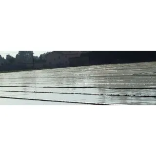 Compra DESINFECCIÓN ECO PLUS (110 gg) ANCHO 4,50 METROS en la tienda online Fito Agrícola