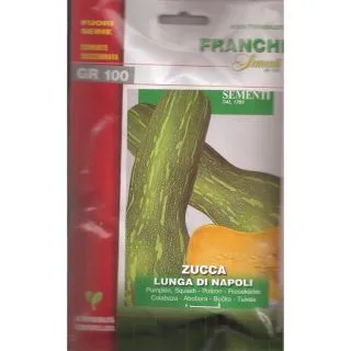 Compra CALABAZA LARGA NAPOLITANA (100 gr.). en la tienda online Fito Agrícola